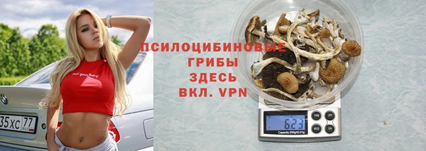 бутират Богородицк